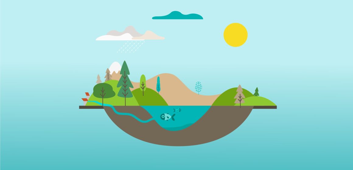 Ecosystem